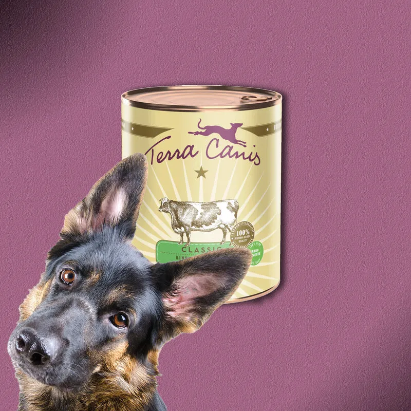 6x400g Terra Canis Rind mit Karotte, Apfel & Naturreis