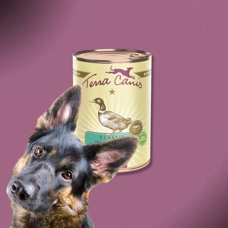 6x400g Terra Canis Ente mit Naturreis, Rote Bete, Birne & Sesam