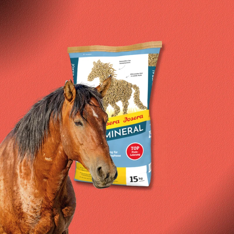 2x15kg Josera Joker-Mineral