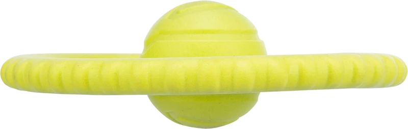 Aqua Toy Disc