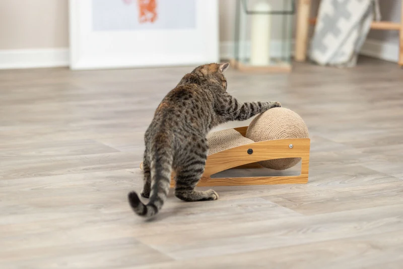 Kratzrampe mit Ball