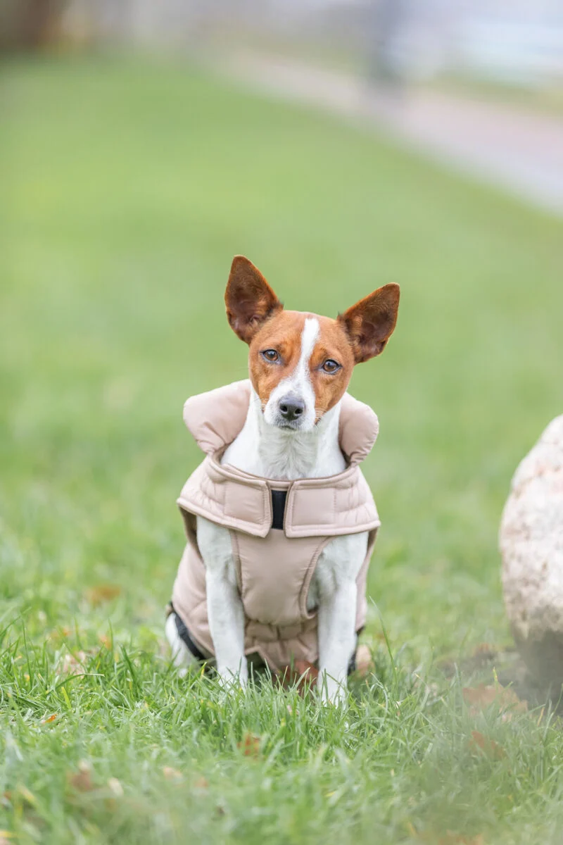 Wintermantel Lesmont