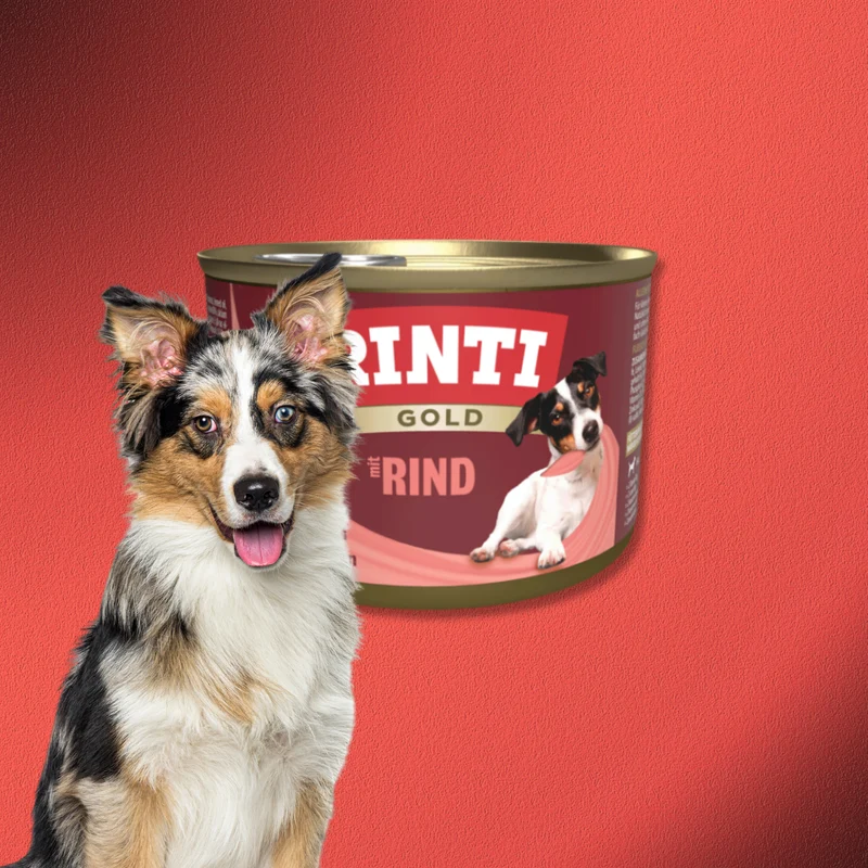 72x185g Rinti Gold - Rind
