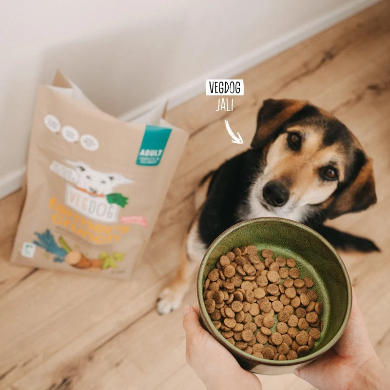 VEGDOG Farmer's Crunch