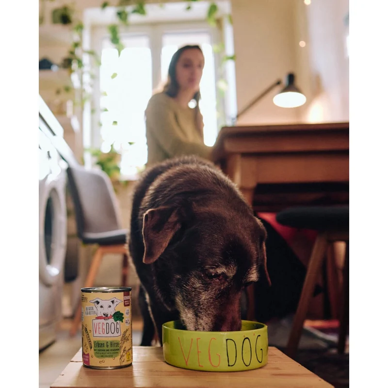 VEGDOG Senior Erbsen & Hirse
