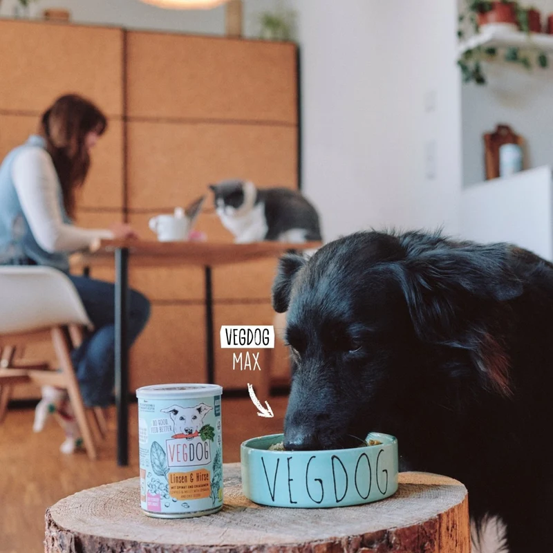 VEGDOG Adult Linsen & Hirse