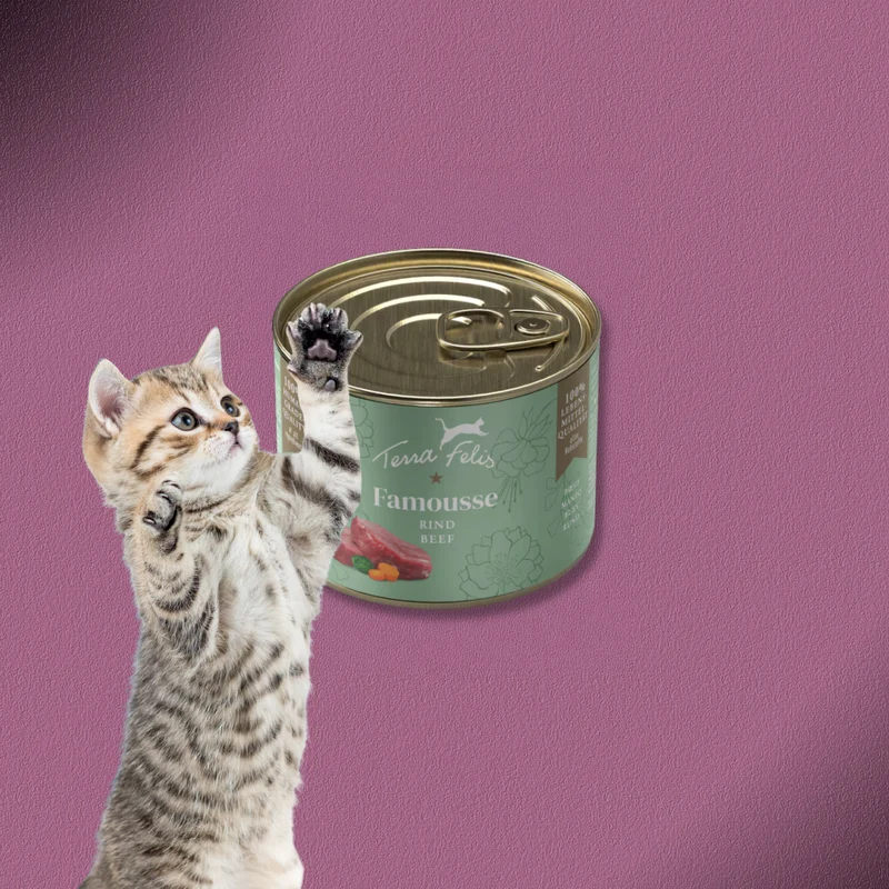 36x200g Terra Felis Famousse Rind