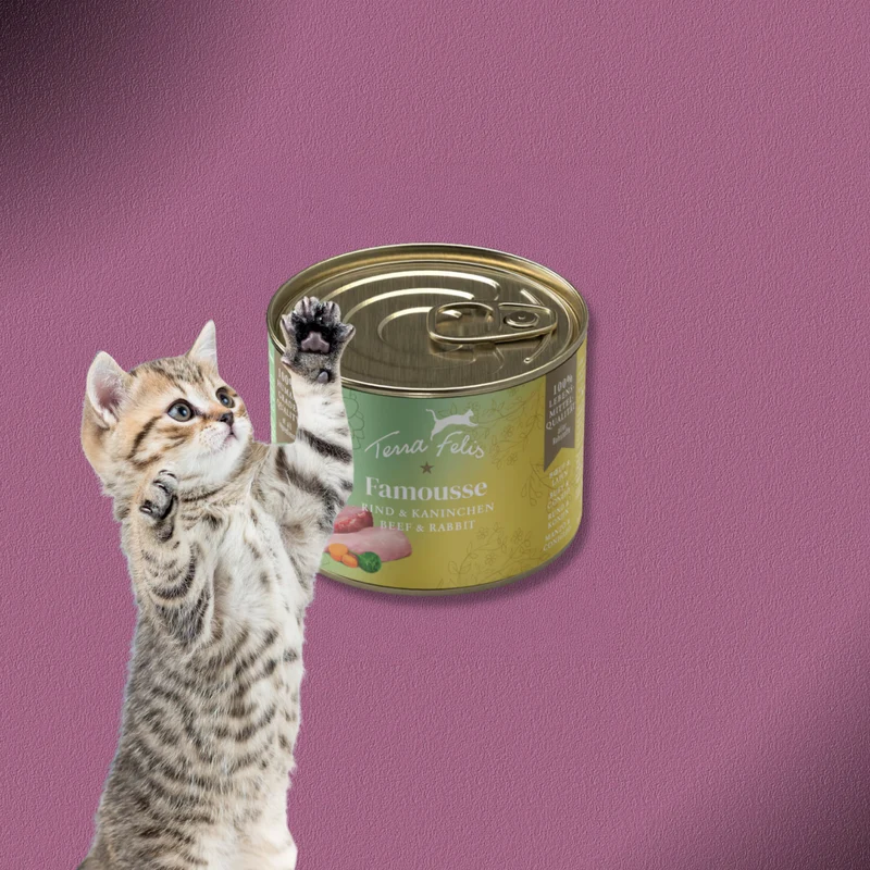 36x200g Terra Felis Famousse Rind & Kaninchen