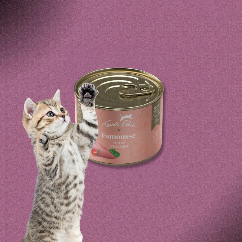 36x200g Terra Felis Famousse Huhn