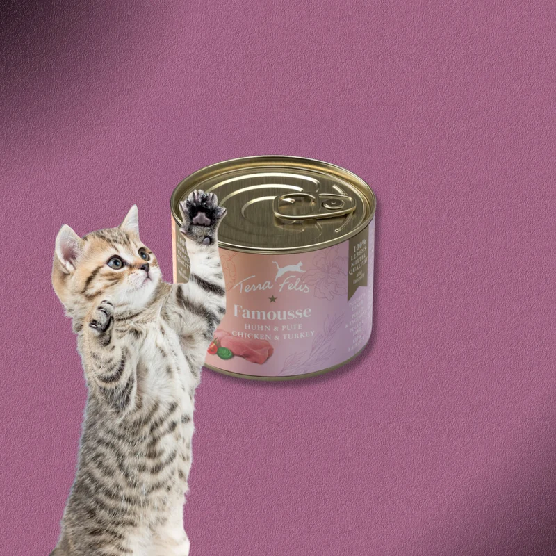 36x200g Terra Felis Famousse Huhn & Pute