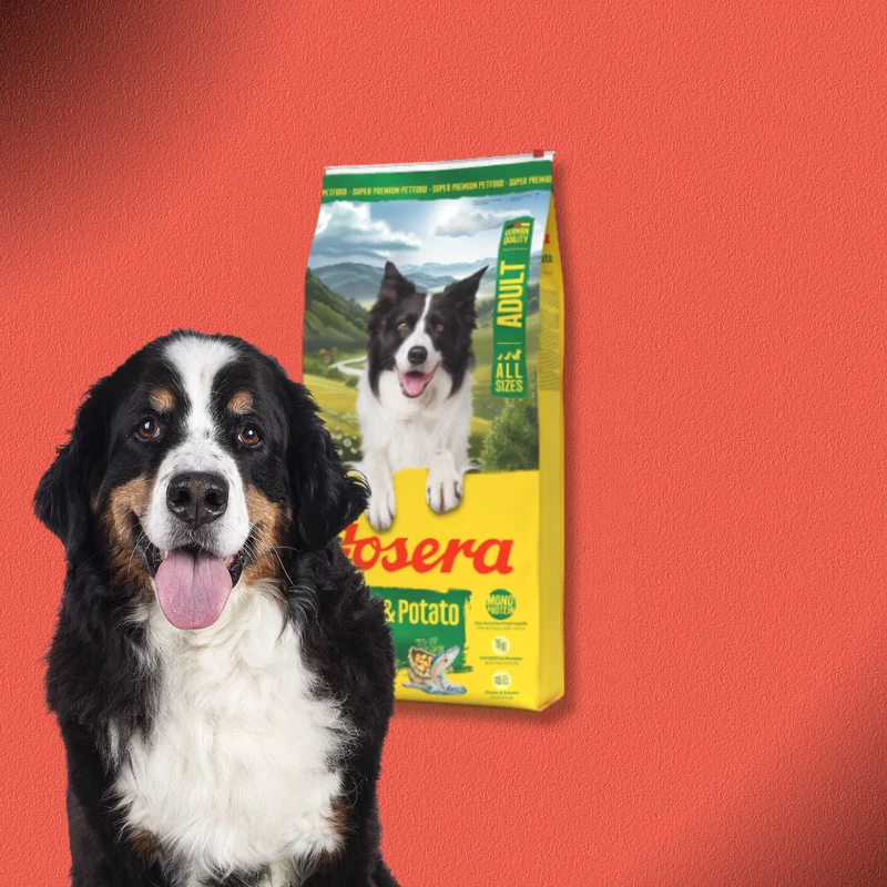 2x12,5kg Josera Adult - Salmon & Potato