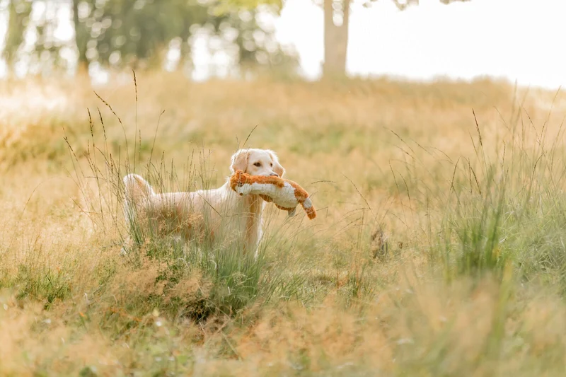 Erdmännchen Hundespielzeug