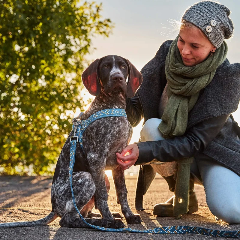 Hurtta Razzle-Dazzle H-Geschirr für Hunde, Gepolstert, 100% recyceltes Polyester, Schwarz 65-80 cm b